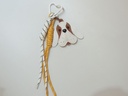 DSCN9139.JPG