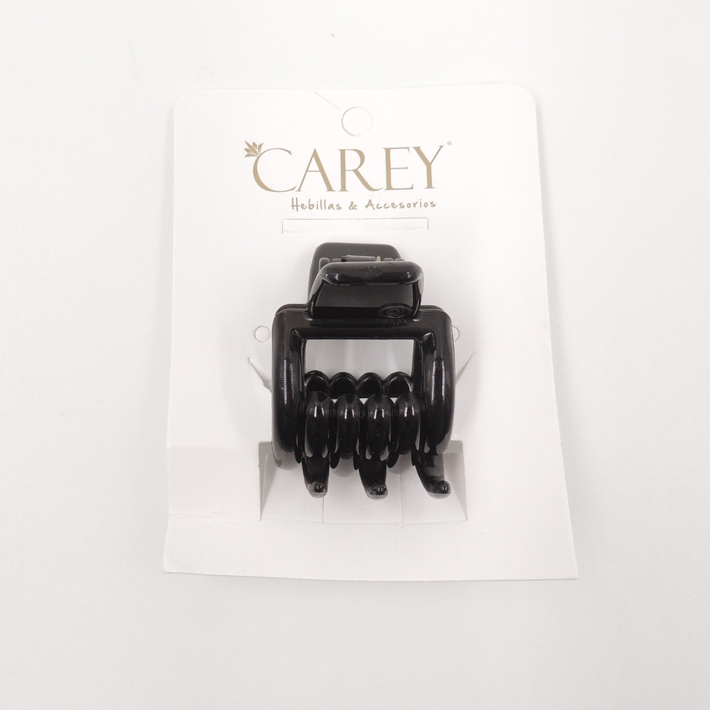 Broche Carey